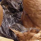 Den otevřených dveří na lyceu